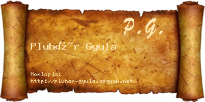 Pluhár Gyula névjegykártya