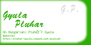 gyula pluhar business card